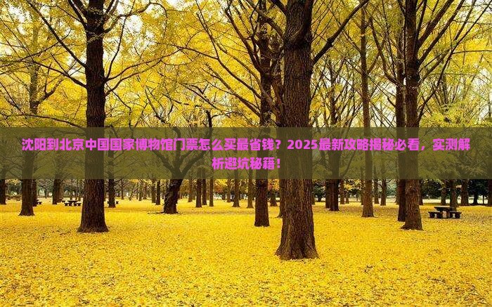 沈阳到北京中国国家博物馆门票