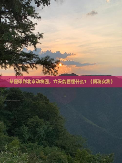 霍邱到北京动物园六日游