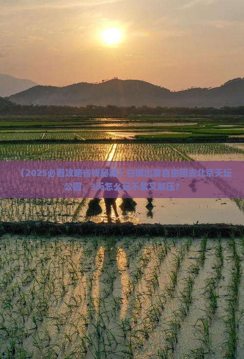 白城到北京天坛公园自由团