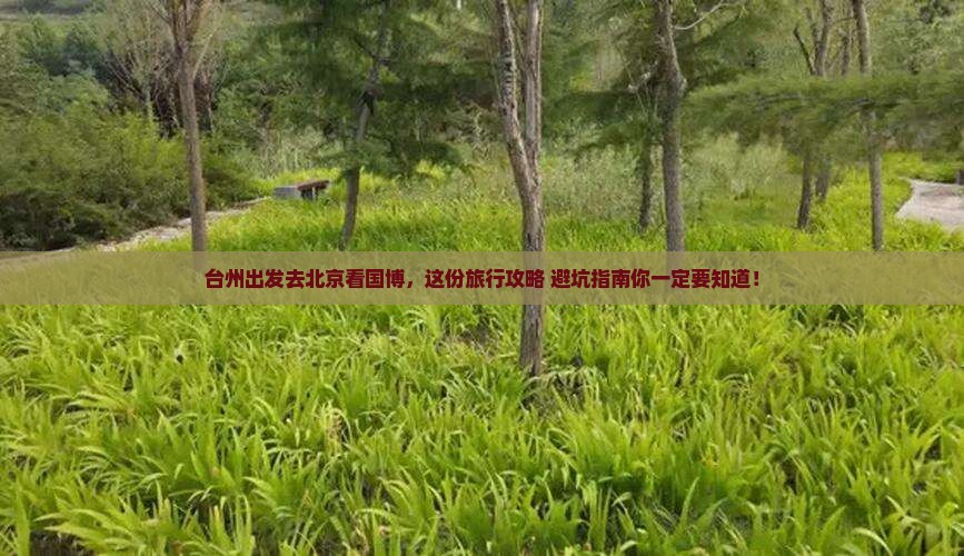 台州到北京中国国家博物馆旅行社