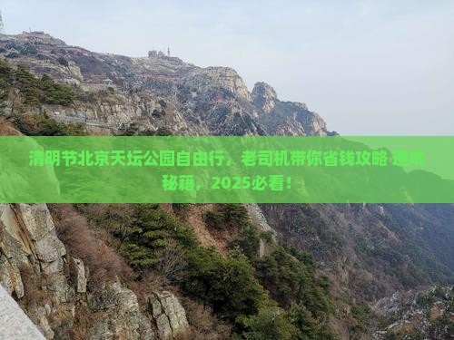 清明节去北京天坛公园自由团