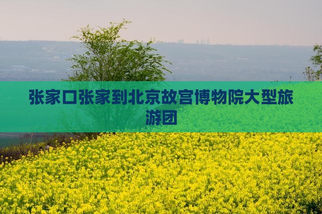 张家口到北京故宫博物院大型旅游团