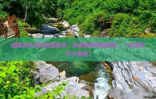 信阳去北京动物园景点