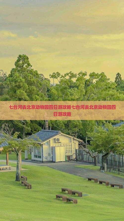 七台河去北京动物园四日游