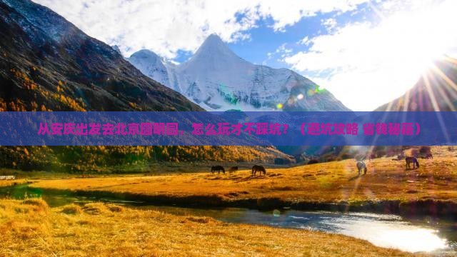 安庆去北京圆明园遗址公园旅游