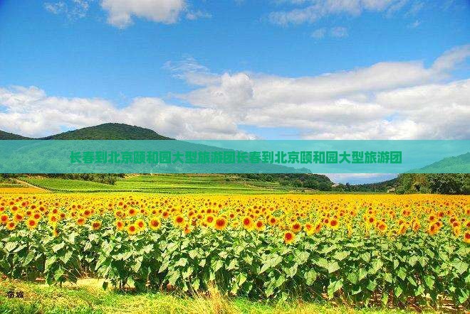 长春到北京颐和园大型旅游团