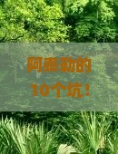阿泰勒去北京圆明园遗址公园大型旅游团