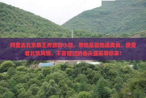 阿里去北京恭王府旅游小吃