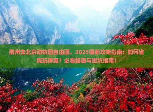 荆州去北京动物园自由团