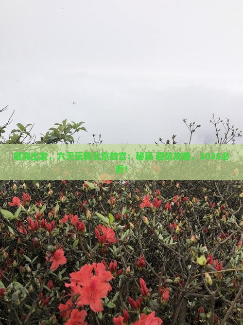 威海到北京故宫博物院六日游