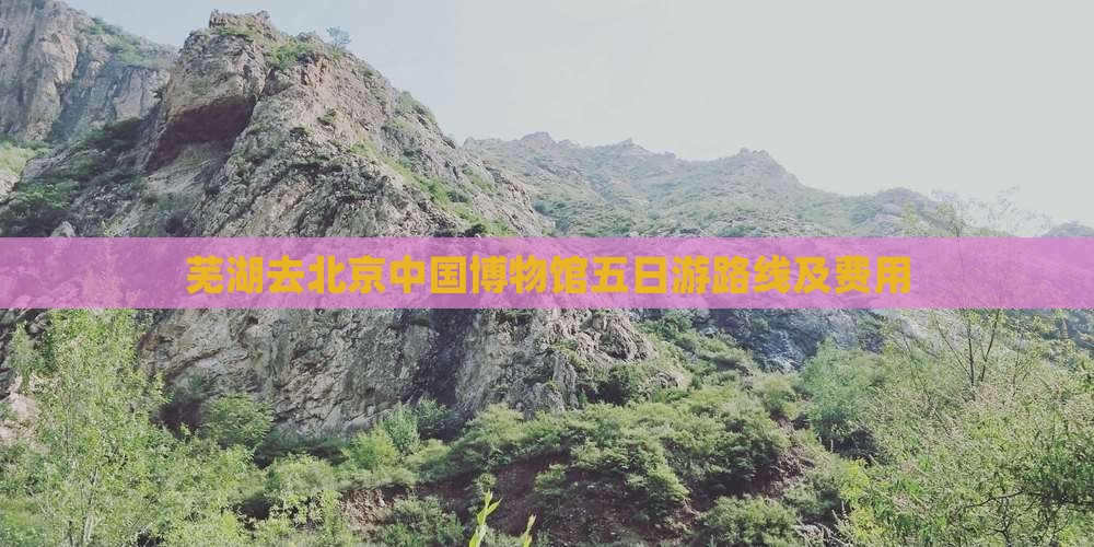 芜湖去北京中国国家博物馆五日游