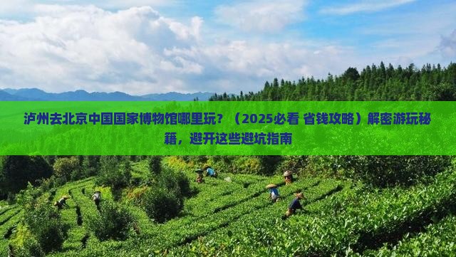 泸州去北京中国国家博物馆哪里玩