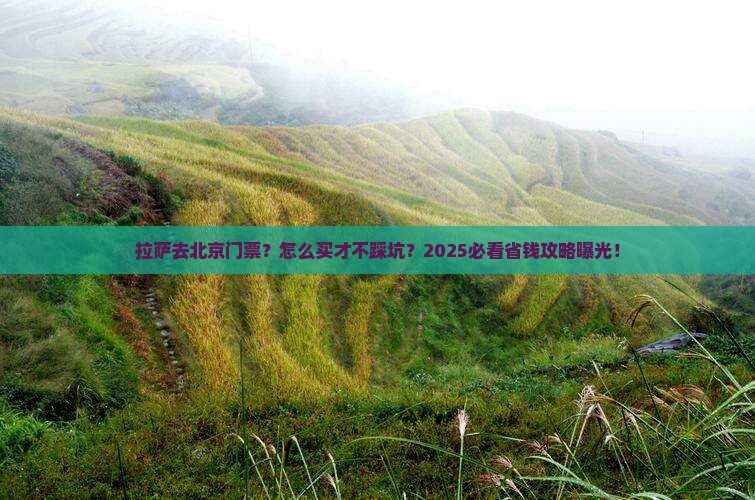拉萨去北京门票
