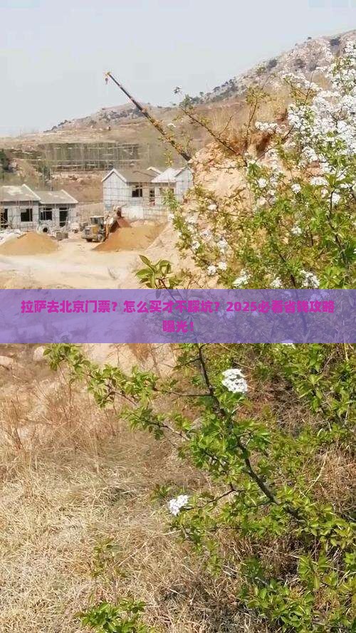 拉萨去北京门票