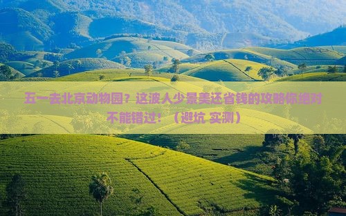 劳动节到北京动物园一日游