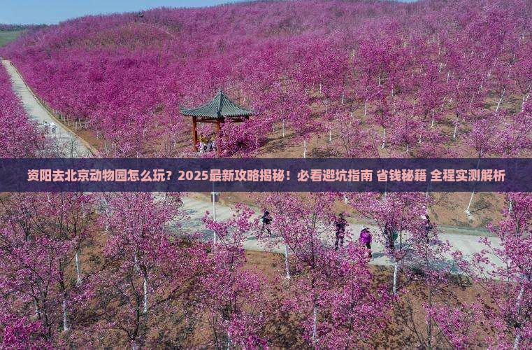 资阳去北京动物园一日游