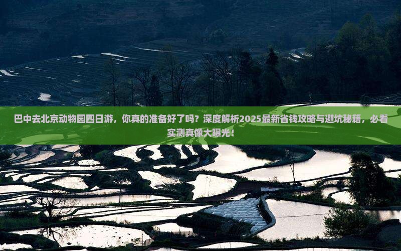 巴中去北京动物园四日游