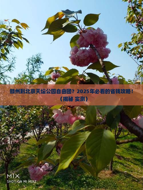 赣州到北京天坛公园自由团