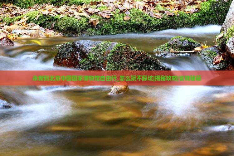 永新到北京中国国家博物馆自由行