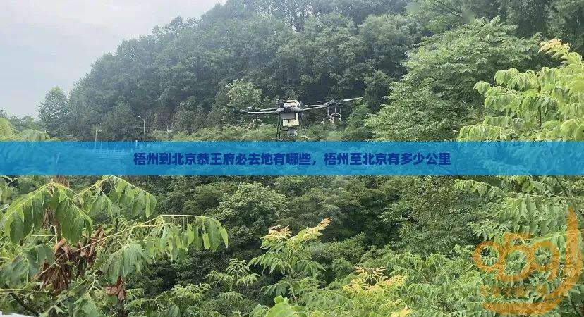 梧州到北京恭王府必去地