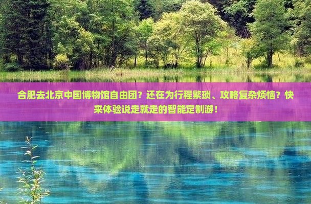 合肥去北京中国国家博物馆自由团