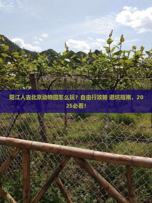 阳江去北京动物园自由行