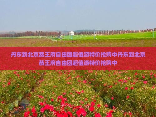 丹东到北京恭王府自由团