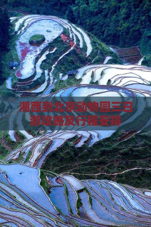湘西到北京动物园三日游