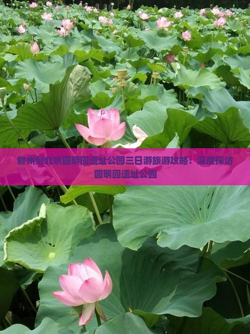 赣州到北京圆明园遗址公园三日游