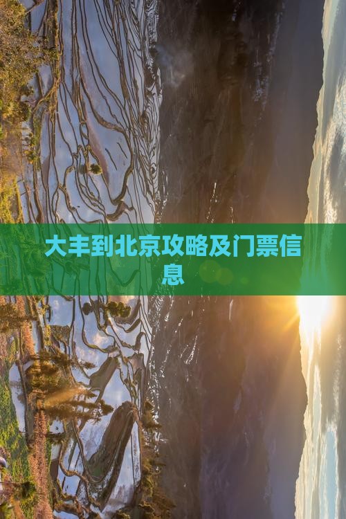 大丰到北京门票