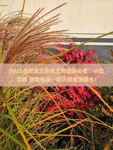 合肥去北京恭王府旅游小吃