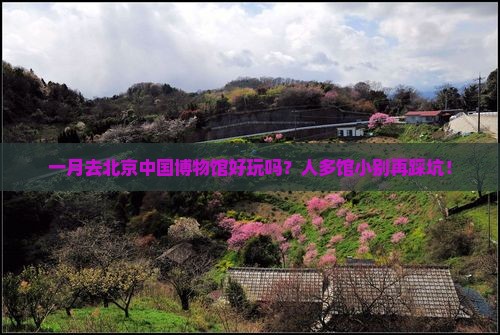 一月到北京中国国家博物馆二日游