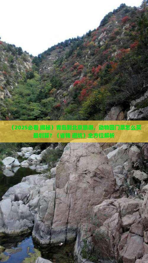 青岛到北京动物园门票