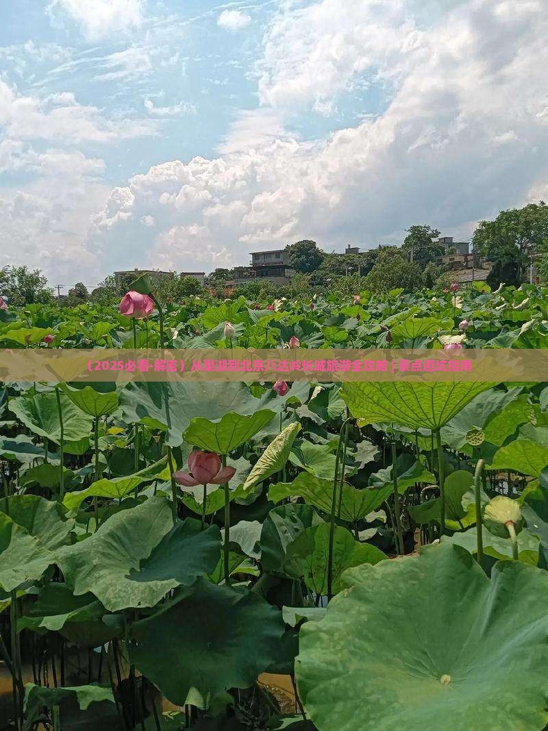巢湖到北京八达岭长城必去地