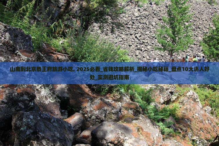山南到北京恭王府旅游小吃