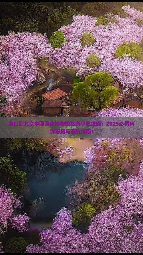 海口到北京中国国家博物馆旅游小吃
