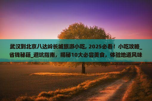 武汉到北京八达岭长城旅游小吃