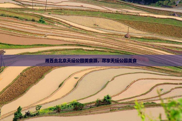 湘西去北京天坛公园旅游小吃