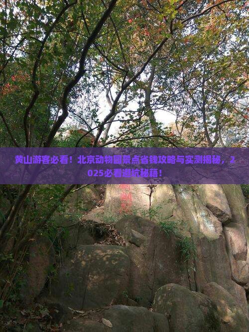 黄山去北京动物园景点