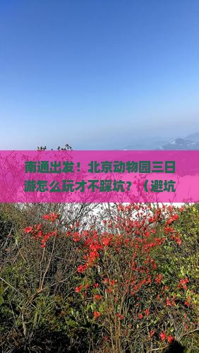 南通到北京动物园三日游