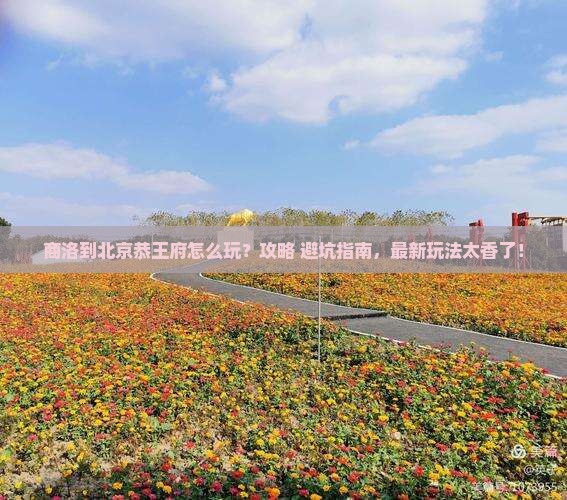 商洛到北京恭王府哪里玩