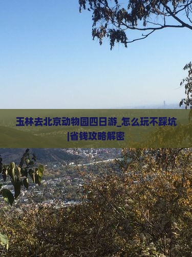 玉林去北京动物园四日游