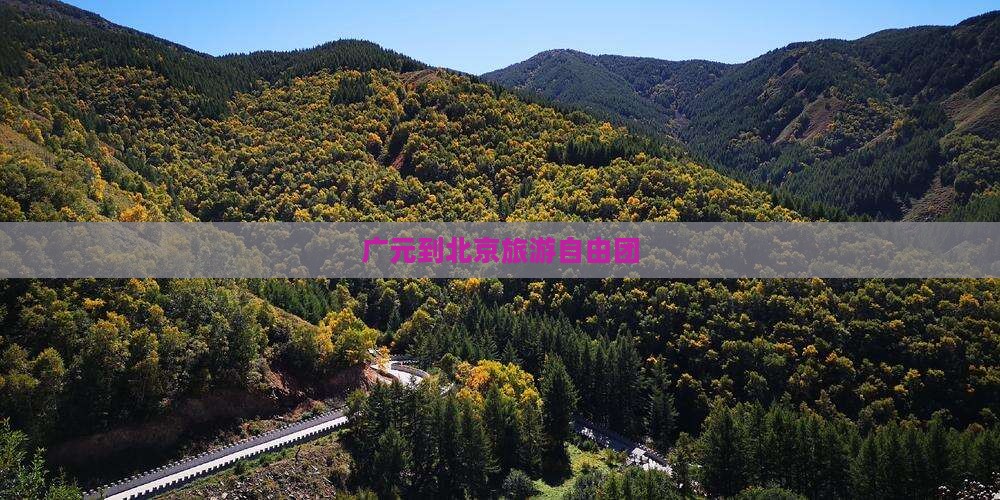 广元到北京自由团