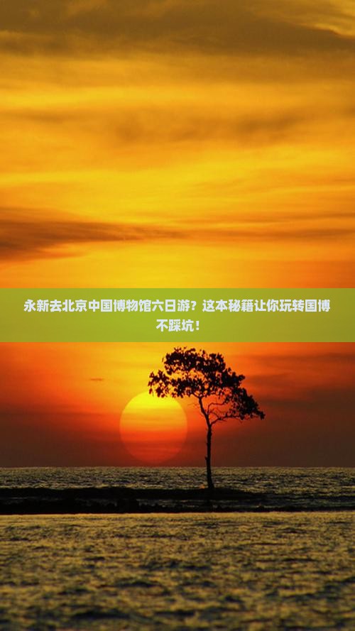 永新去北京中国国家博物馆六日游