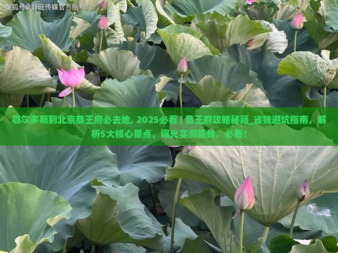 鄂尔多斯到北京恭王府必去地