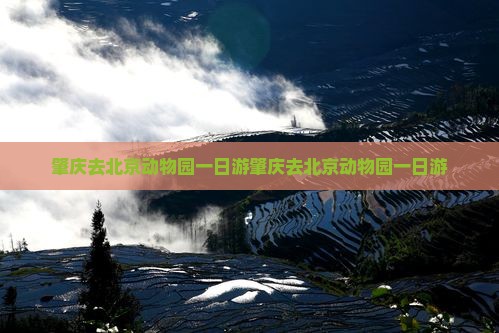 肇庆去北京动物园一日游