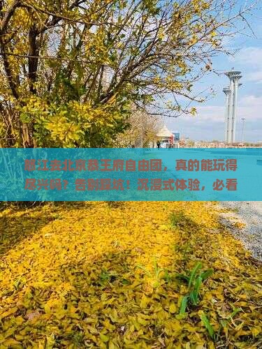 怒江去北京恭王府自由团