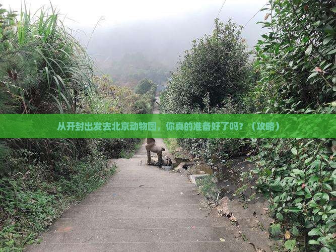 开封去北京动物园景点