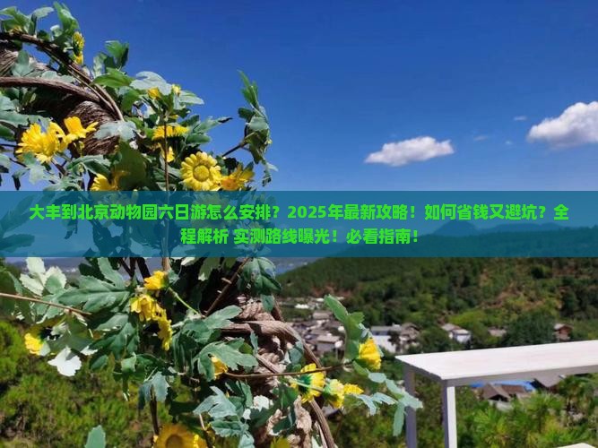 大丰到北京动物园六日游