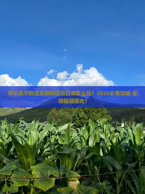 呼伦贝尔去北京动物园五日游